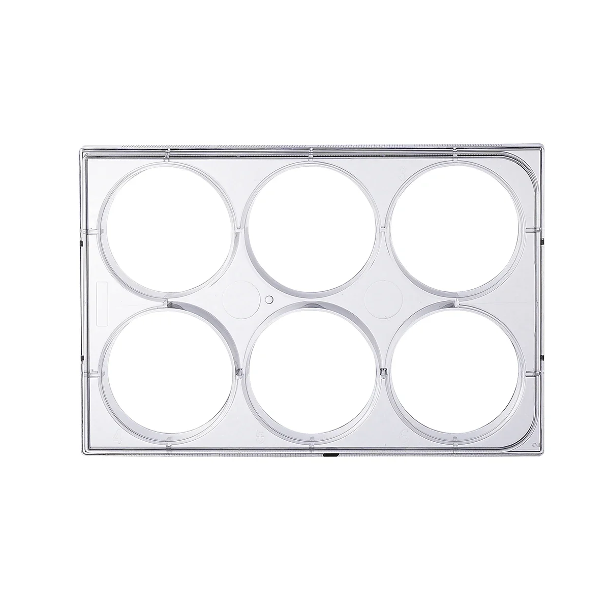 Haier Biomedical Laboratory Su - Health Wellness Lab reseña y precio