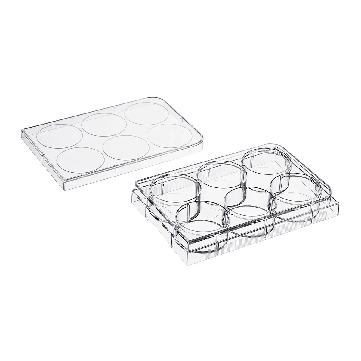 Haier Biomedical Laboratory Su - Health Wellness Lab reseña y precio