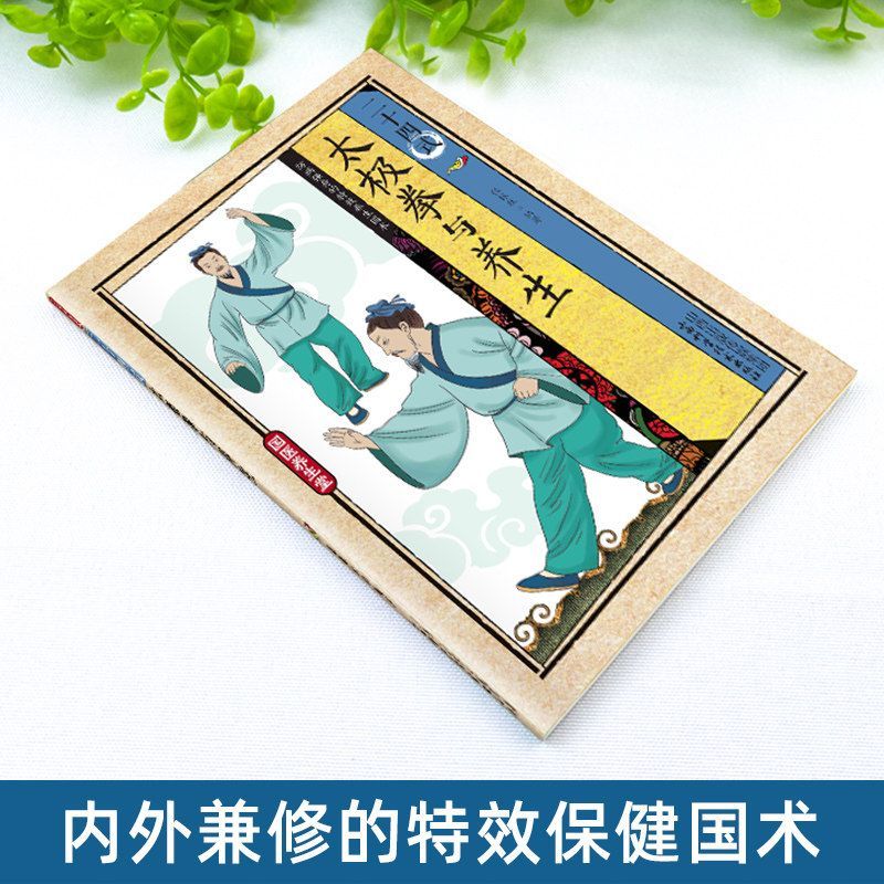 24 Style Tai Chi and Health Ex - Health & Wellness Tablet Cutter reseña y precio