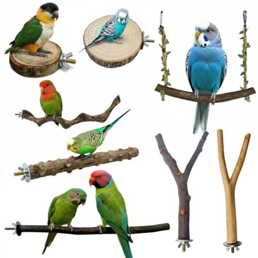 8PCS natural wood bird perches - Health & Wellness Tablet Cutter reseña y precio