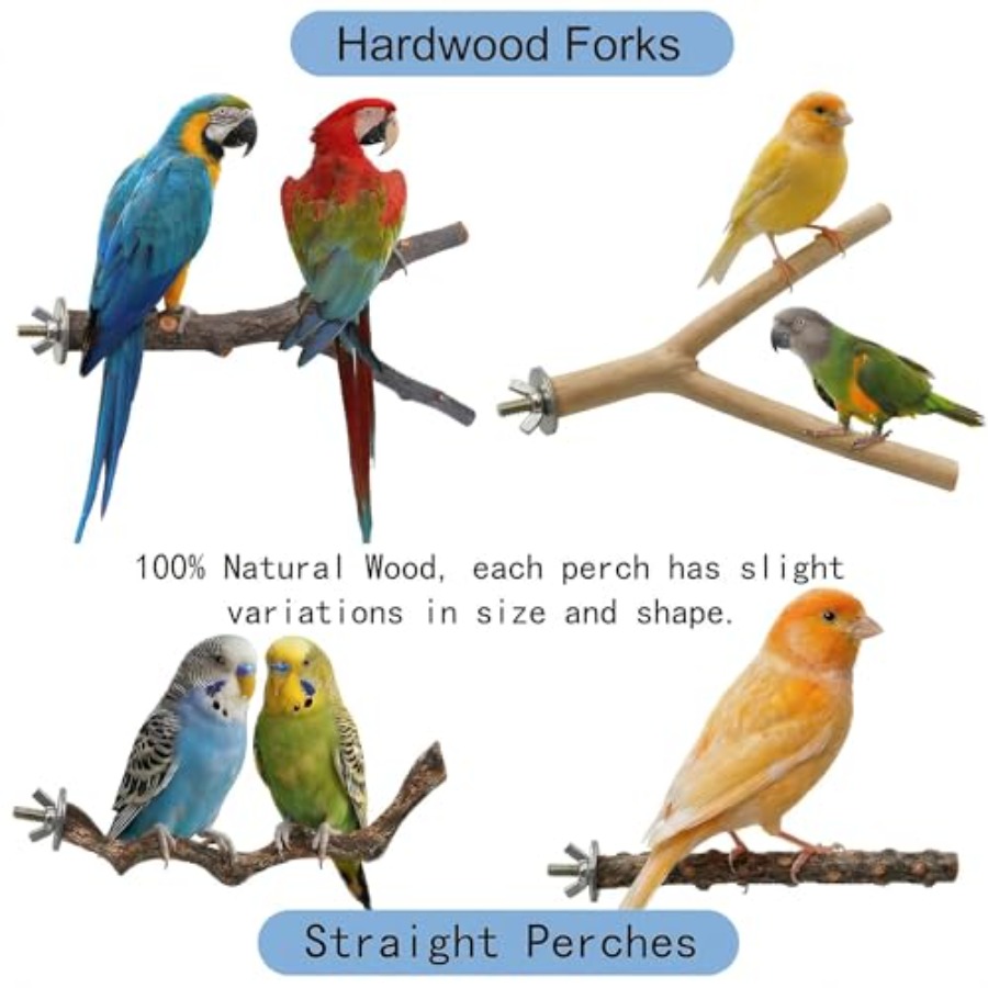 8PCS natural wood bird perches - Health & Wellness Tablet Cutter reseña y precio