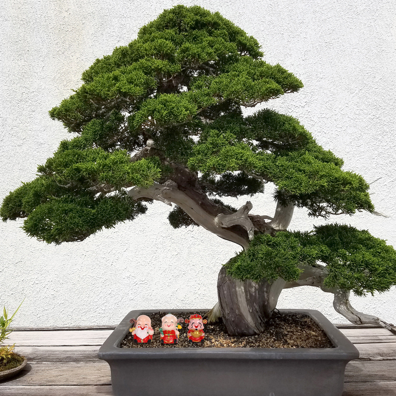 3Pcs Resin Chinese Elder Figur - Longevity Health & Wellness Hotel reseña y precio