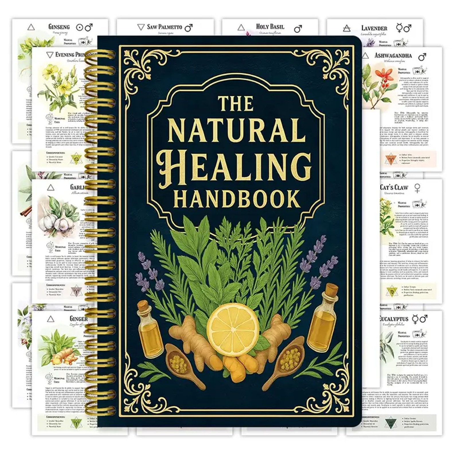 Natural Therapy Handbook, an E - Health & Wellness Tablet Cutter reseña y precio
