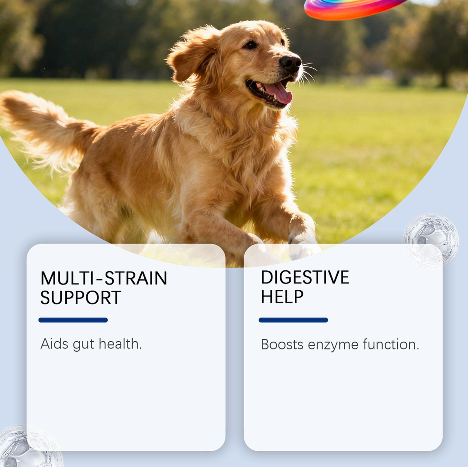 Dog Wellness Bites Healthy Nat - Health Wellness Food reseña y precio